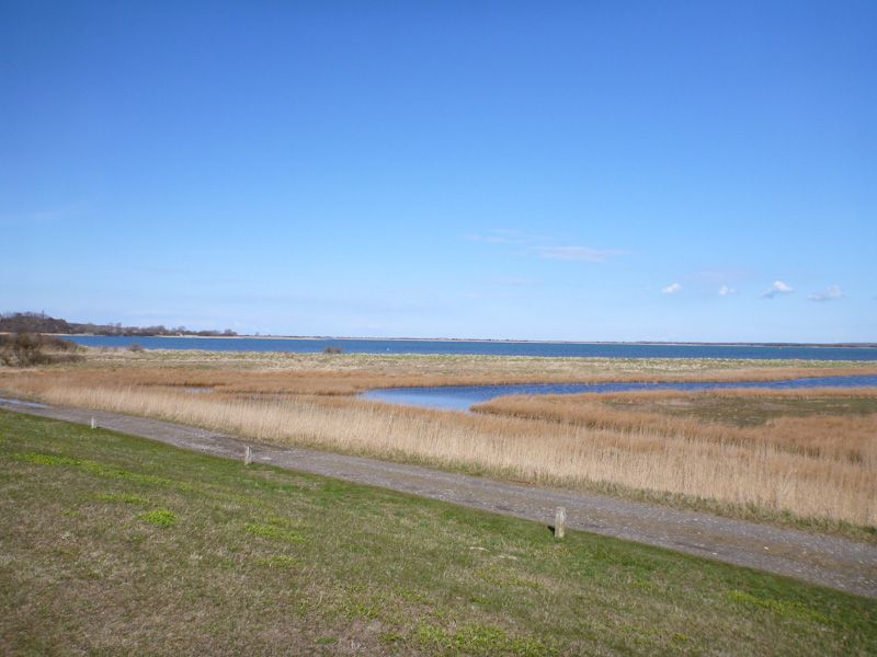 Tolle Insel, uns gefällt es hier.