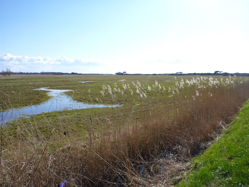 Landschaftlich wirklich toll diese Insel - wir kommen sicher noch mal wieder.
