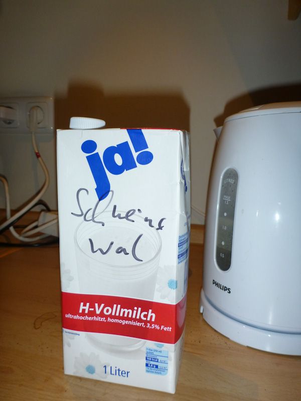 Mmmh, wir dachten Schweinswale sehen anders aus?