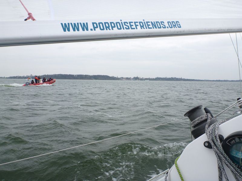 Die Journalisten kommen. (Foto: L. von Nordheim/Deutsches Meeresmuseum)