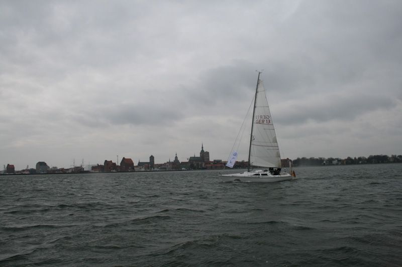 Fritsjen vor der Stadtsilhouette von Stralsund (Foto: J. Subklew/Deutsches Meeresmuseum)
