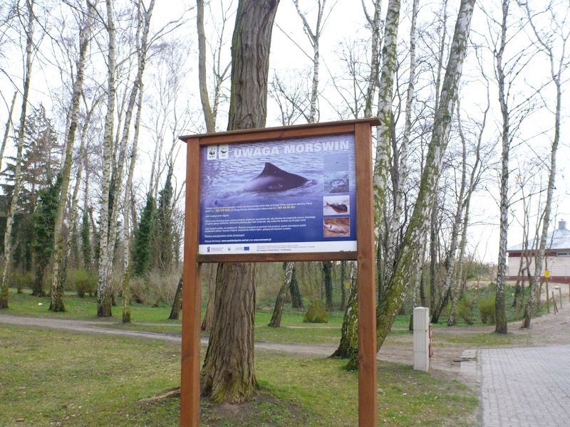 Am Strand überraschen Infotafeln zu Schweinswalen und Robben.