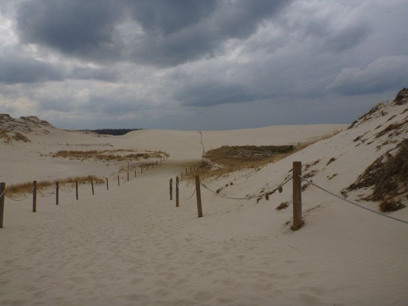 Faszinierende Lichtspiele und Natur.