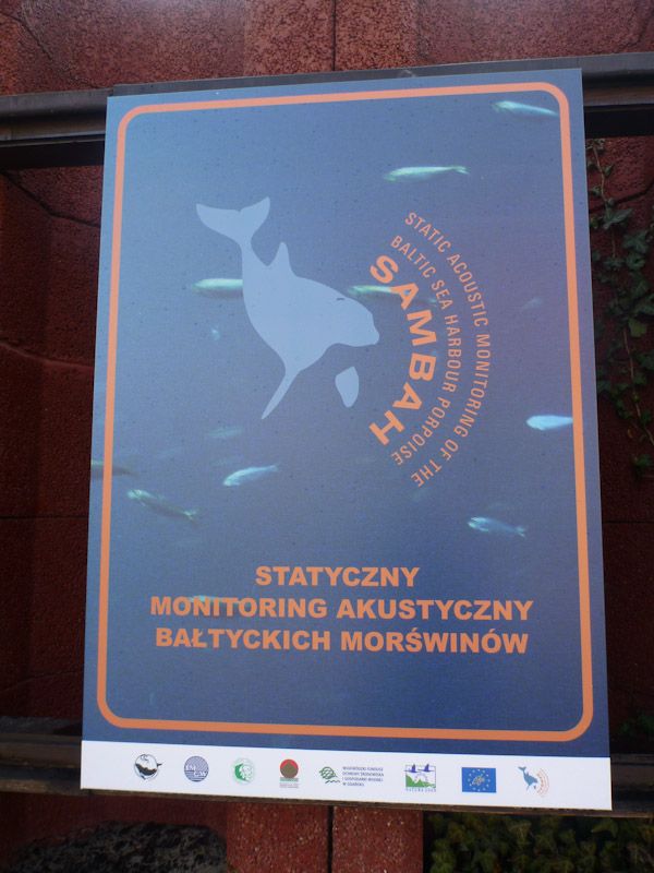 Fokarium: Auch hier wird über Schweinswale geforscht.