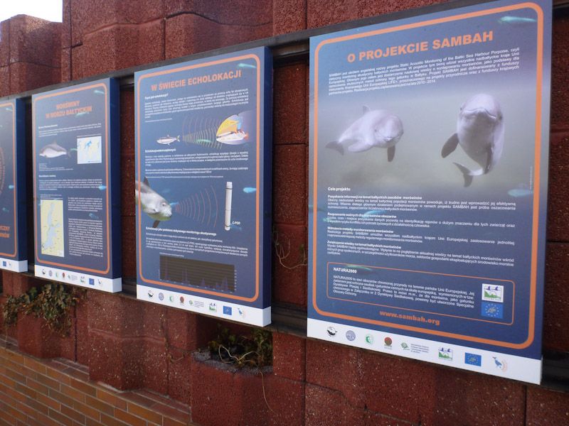 Einige Plakate informieren über das Sambah Projekt.