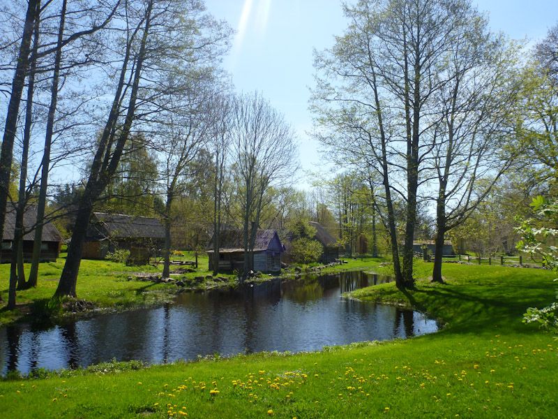 Dazu gehört natürlich auch ein Dorfteich.