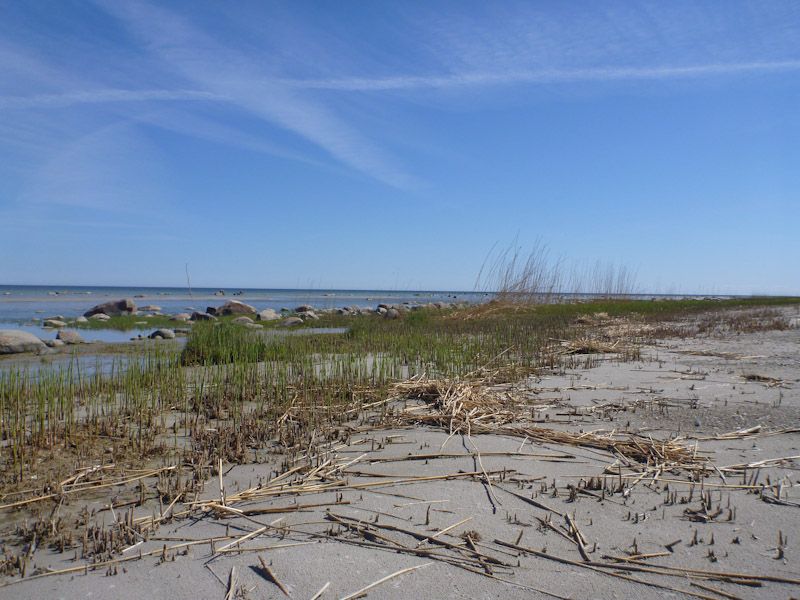Der Strand gefällt uns.