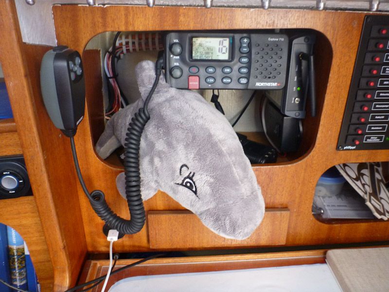 Schnaufi übt sich im Funken - vielleicht erreicht er so ein paar Schweinswalkollegen...