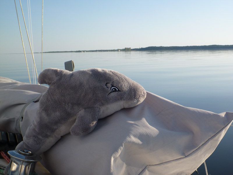 Schnaufi geht es gut.