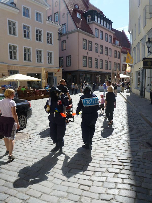 Irgendwie sind die Polizisten hier komisch...