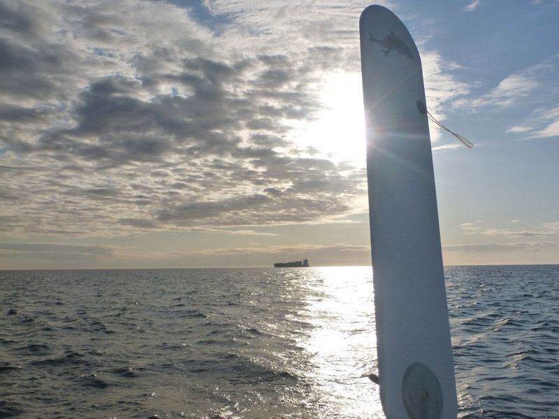 Endlich kann auch "Willi" - unsere Windfahne mal wieder an die Arbeit.