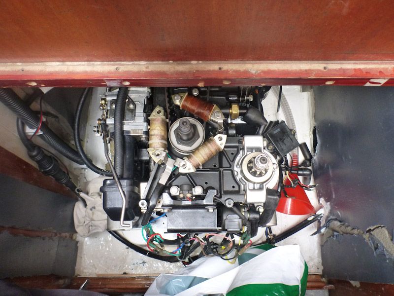 Der Übeltäter in leicht dunkler Farbe.