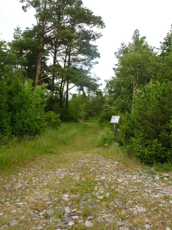 Sogar Wanderwege gibt es hier.