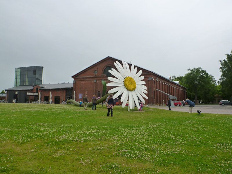 Etwas größere Blume vor dem Forum Marinum.