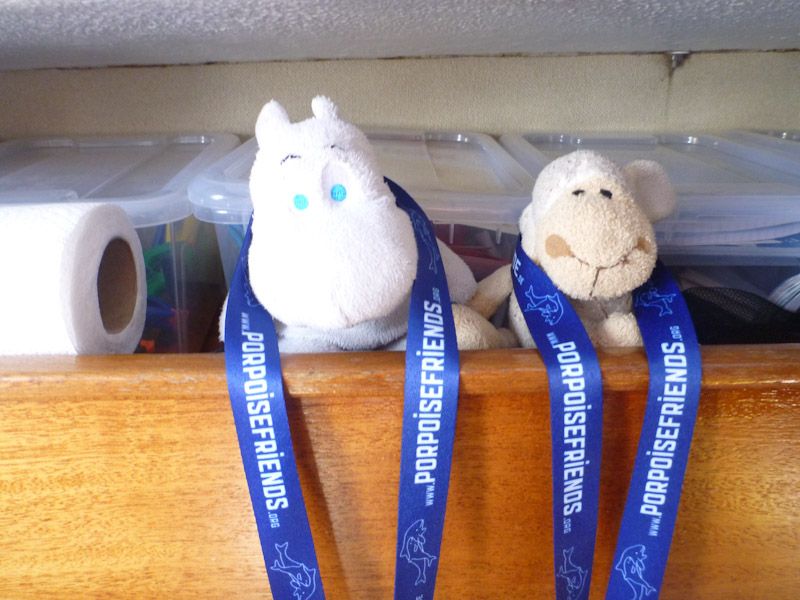 Wir haben noch mehr Gäste an Bord - sie sind auf jeden Fall auch Schweinswalfreunde.