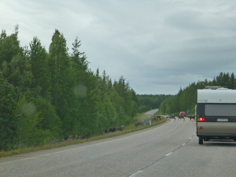 Man quert die Straße...