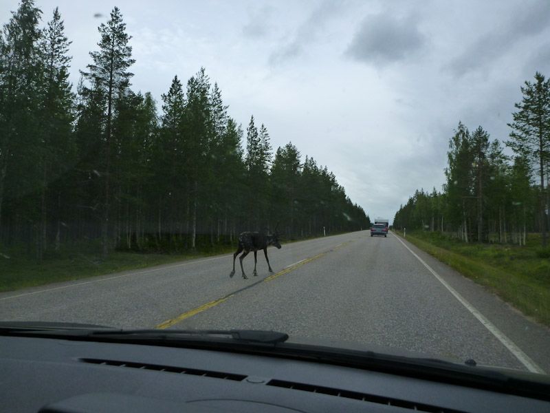 ...oder man nutzt sie auch gerne als Fußweg.