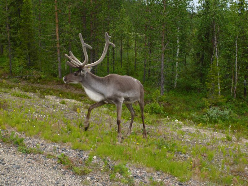 Der ist nicht mehr ganz so klein.
