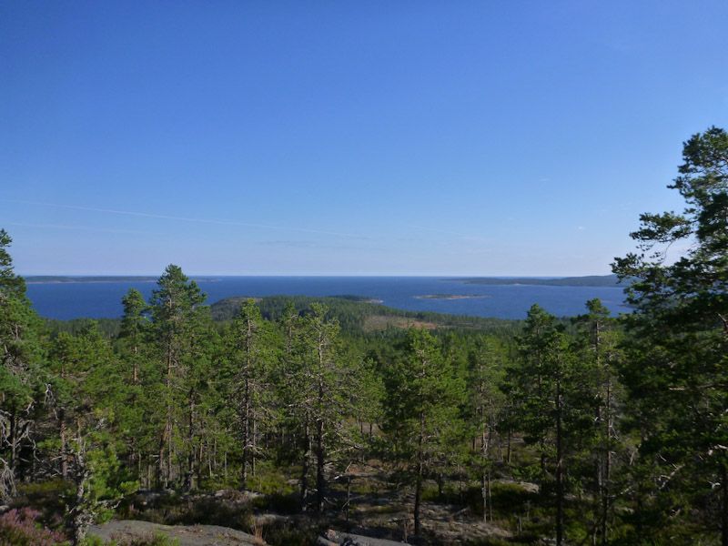 Wir erklimmen den Gipfel.