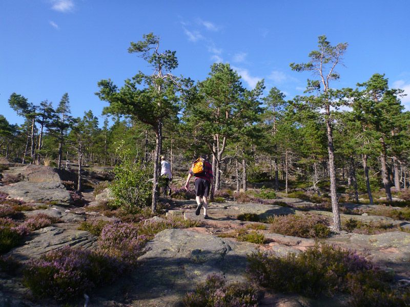Kari und Sirkku sind auch mit dabei.