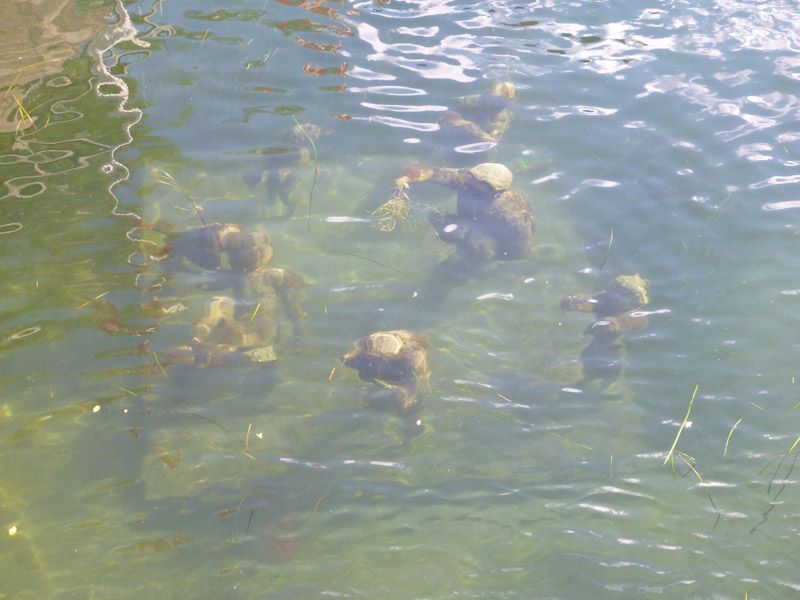 Hier gibt es doch tatsächlich eine Unterwasser-Skulptur.