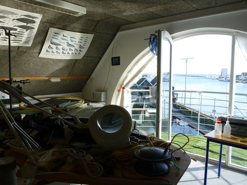 Das Büro der Schweinswalforscher