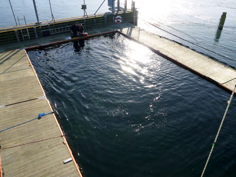 Das Schweinswalbecken von oben.