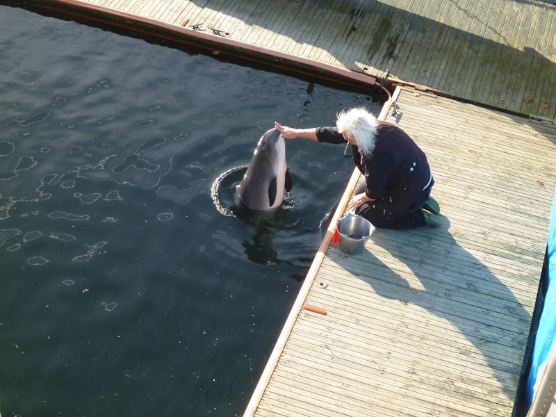 Sie scheinen sich prächtig zu verstehen.