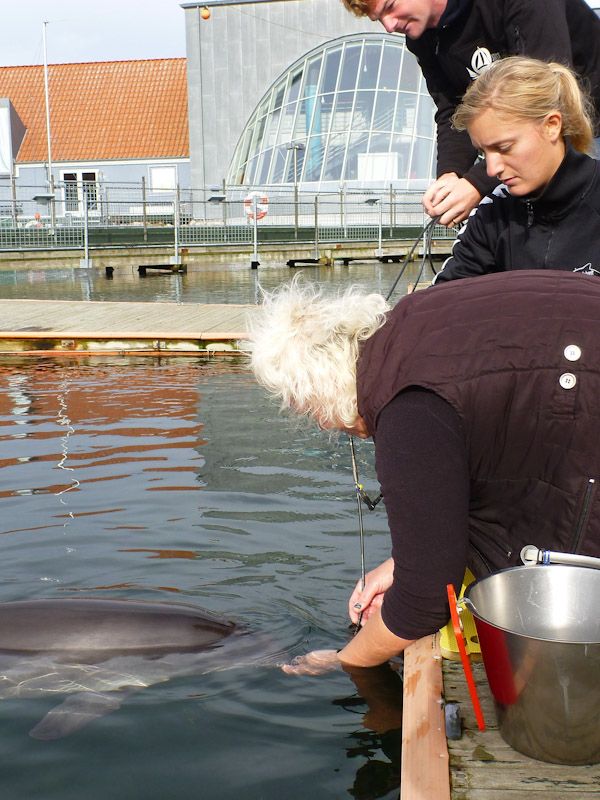 Wir testen das Hydrophon und es funktioniert! Frigg erzählt uns etwas.