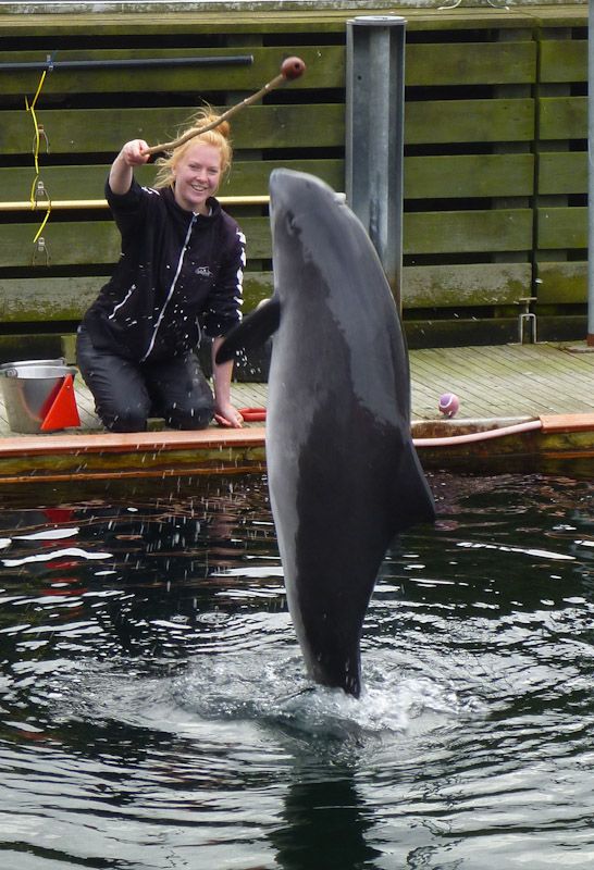 Und ein letztes Mal springt Freya für uns in die Höhe.