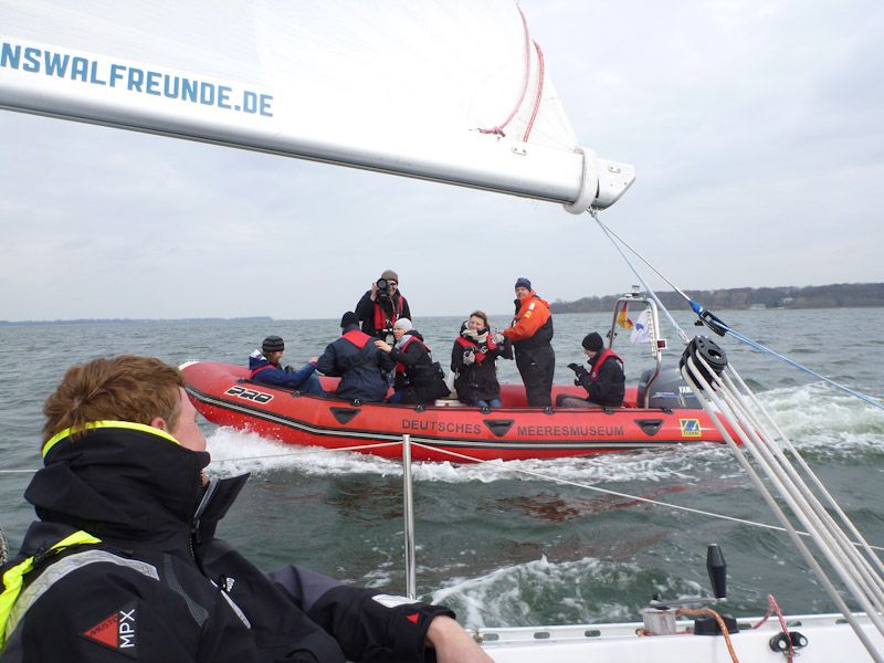 Es werden viele Fotos gemacht (Foto: Lena von Nordheim).