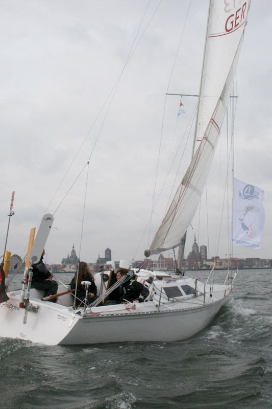 Wir haben unsere Schweinswalflagge gehisst (Foto: J. Subklew/Deutsches Meeresmuseum).