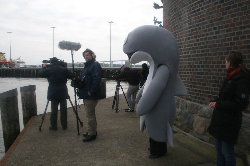...und Walfred auch (Foto: J. Subklew/Deutsches Meeresmuseum).