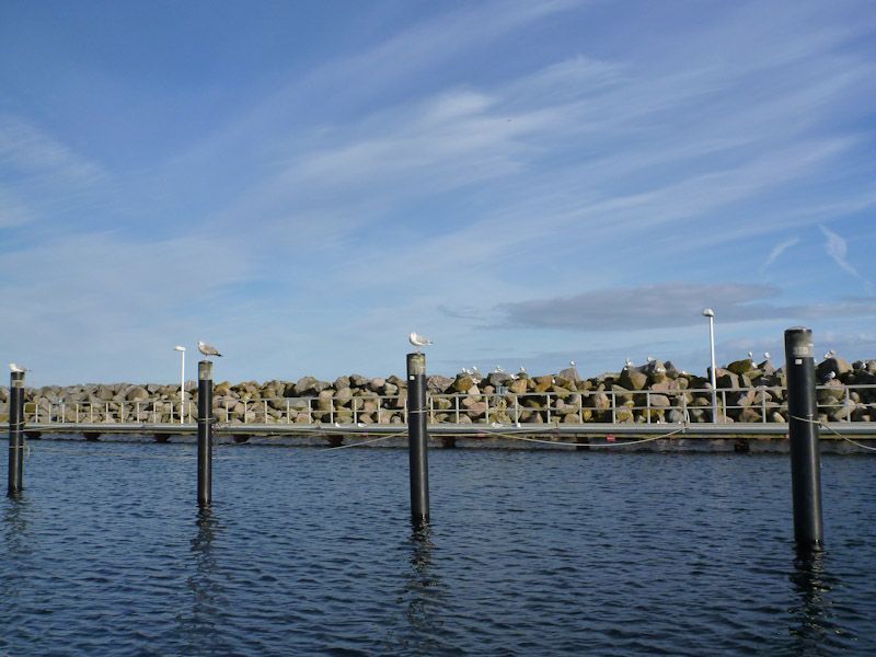 Die Möwen haben mittlerweile die Oberhand im Hafen gewonnen.