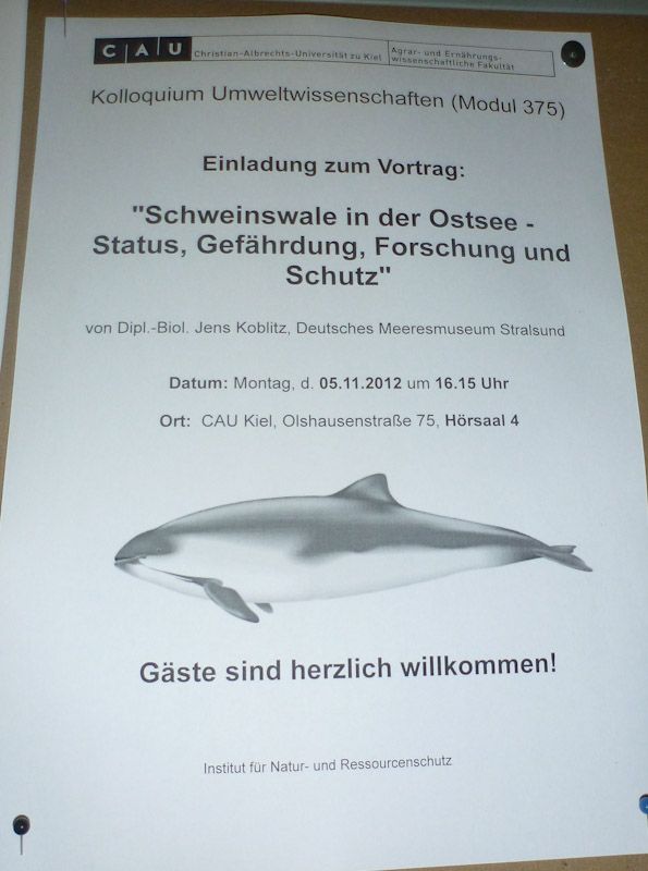 Wir lernen noch ein wenig mehr über den Schweinswal.