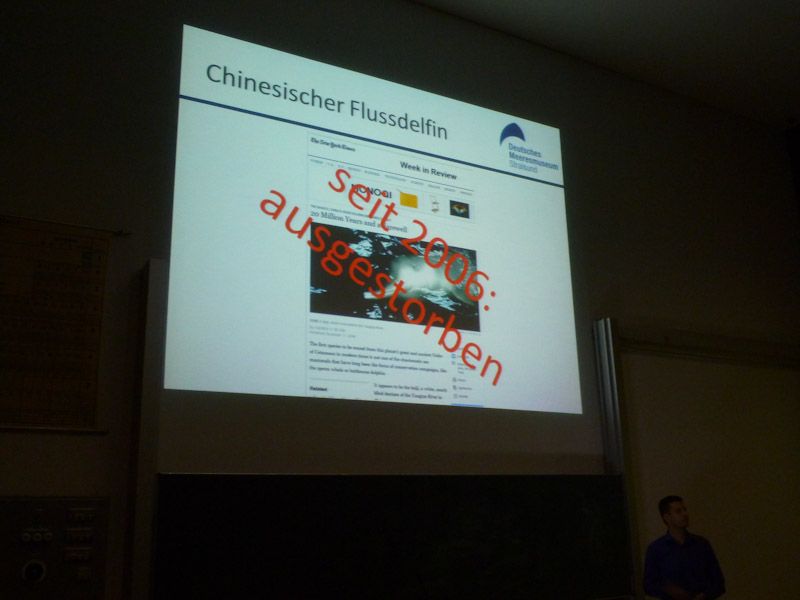 ...hoffen wir, dass es dem Schweinswal der Ostsee besser gehen wird!