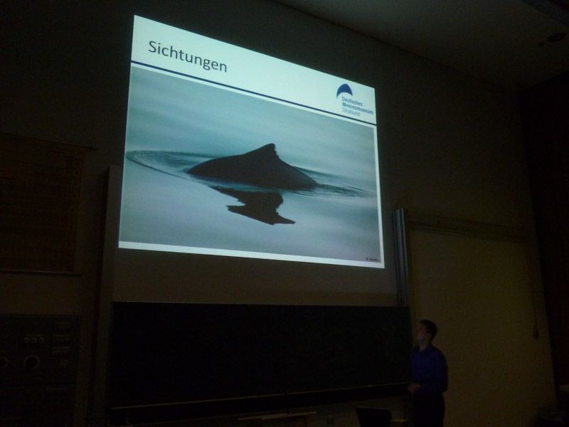 Dafür haben wir uns stark gemacht und viele Segler von dem Projekt berichtet: Wassersportler sichten Schweinswale!