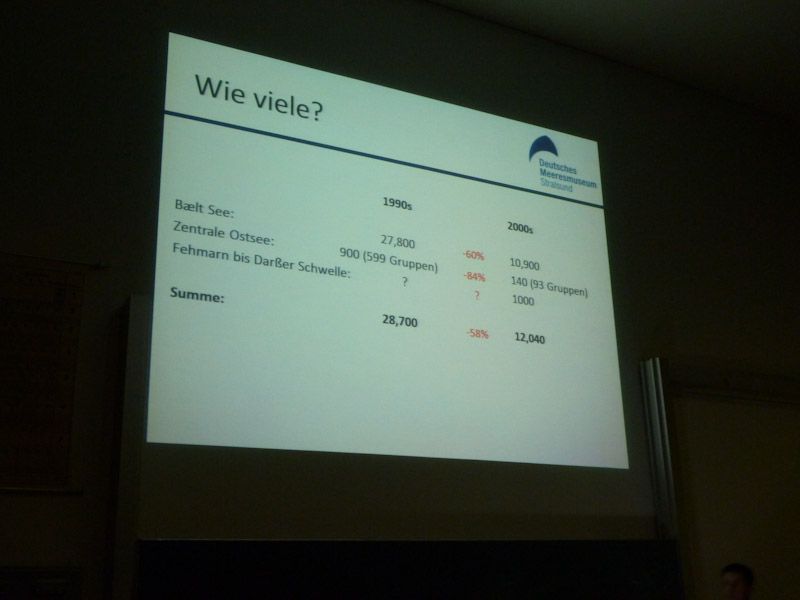 Es ist erschreckend, wie drastisch der Rückgang der Schweinswale in der Ostsee ist.