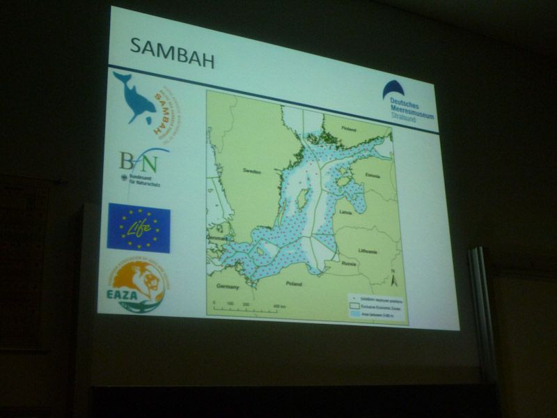 Das haben wir auch schon mal gesehen - SAMBAH mit dem akustischen Monitoring.